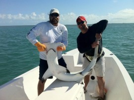 shark fishing Key West