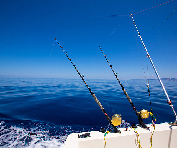 Fishing Charters Florida Keys