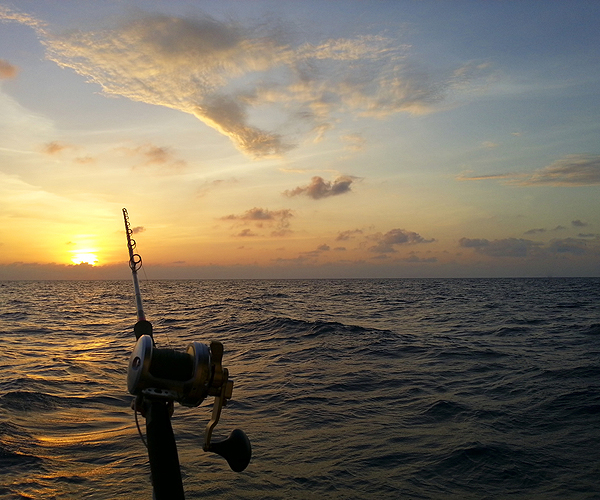 Key West Charter Fishing