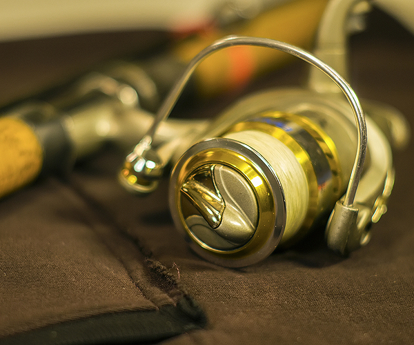Best Fishing in the Florida Keys