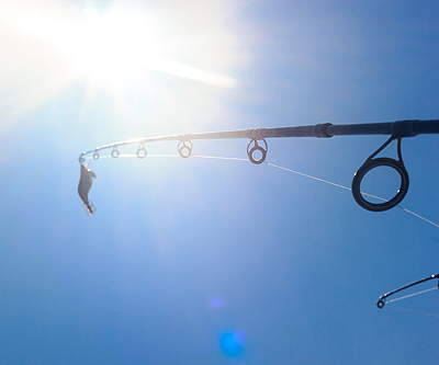 Charter Boat Fishing