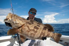 Photo of a large fish caught on one of Captain Moe's Lucky Fleet's fishing charters.