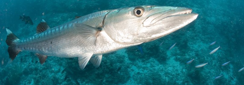 February Fishing Report