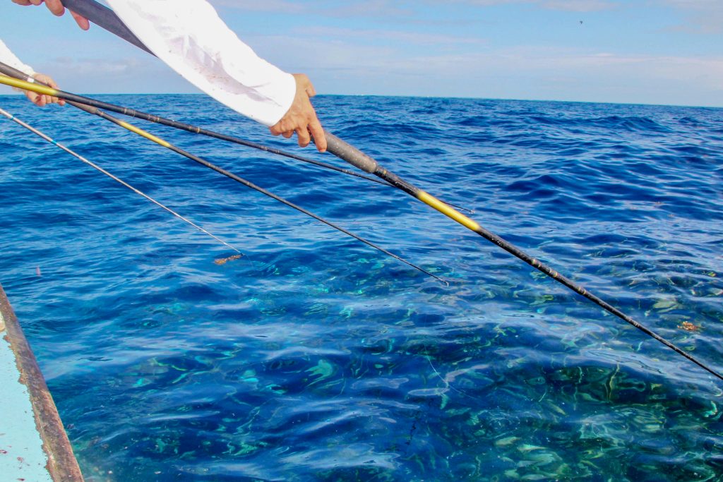 Fishing poles catching fish off the coast of Key West Florida